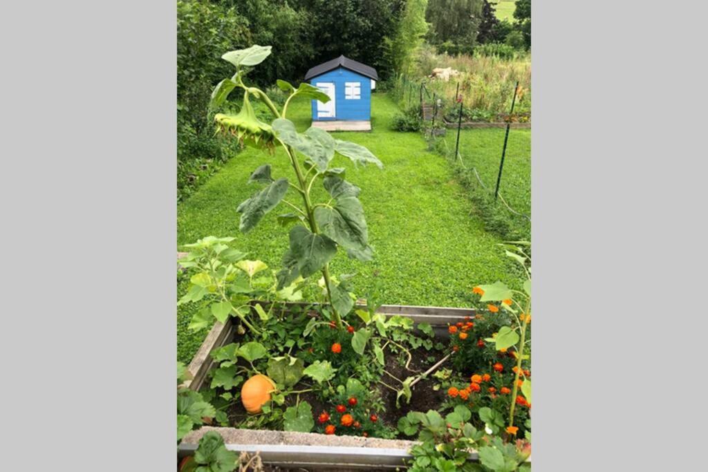 Maison Au Coeur Du Vignoble Jurassien 90 M2 Lavigny Esterno foto